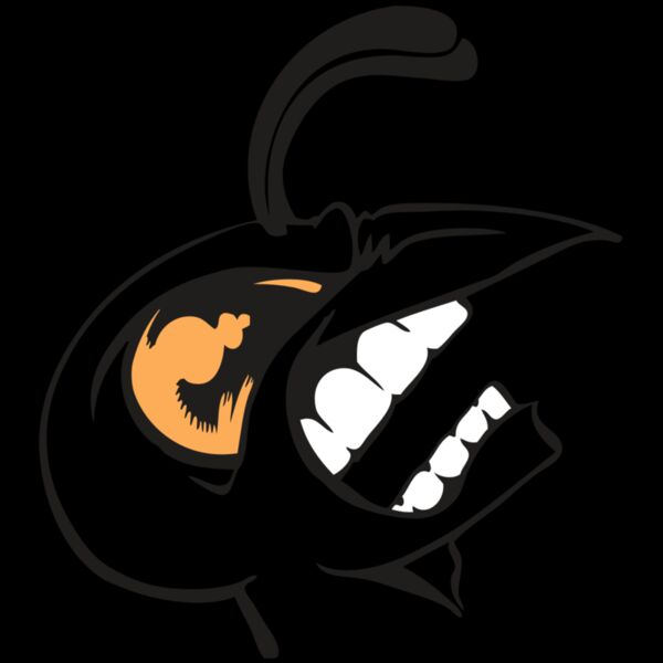 BAW BEE 19 RC Thumbnail