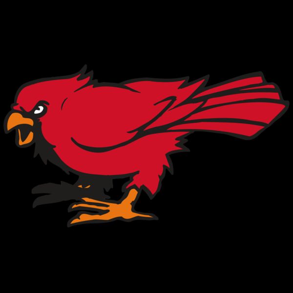 AR CARDINAL 59 RC Thumbnail