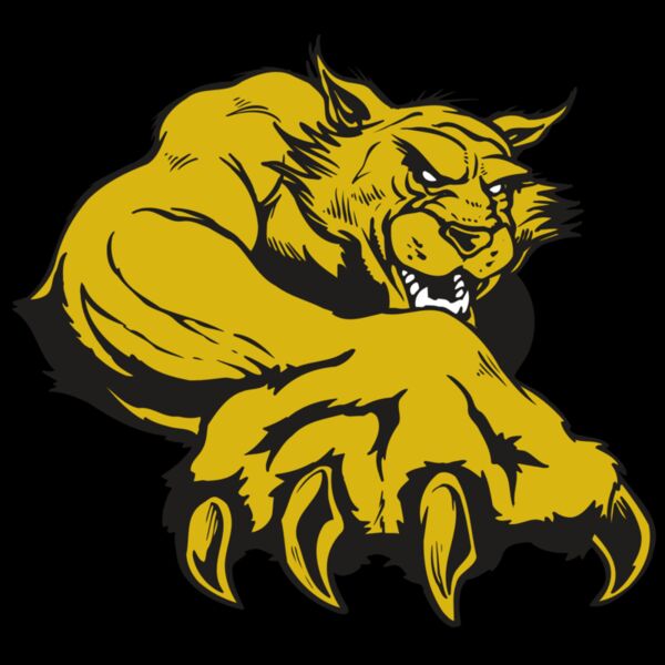 AR WILDCAT 26 RC Thumbnail