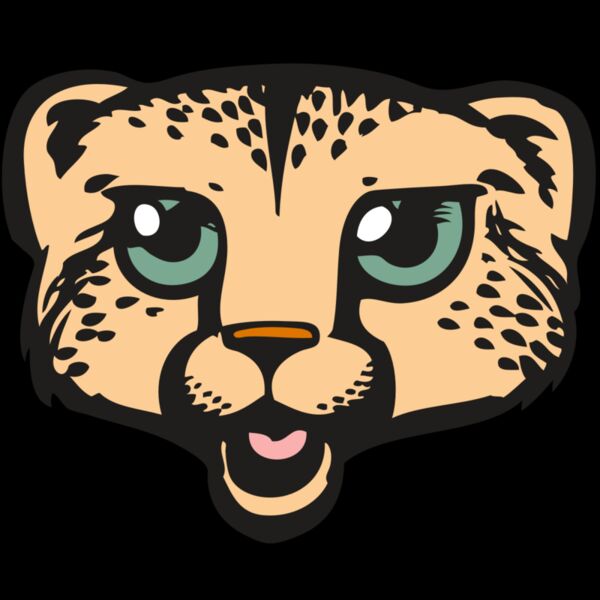 BAW CHEETAH 18 RC Thumbnail