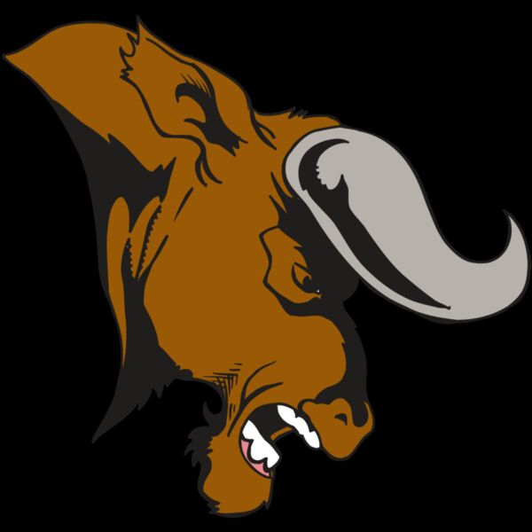 AR5 BULL 07 RQC Thumbnail