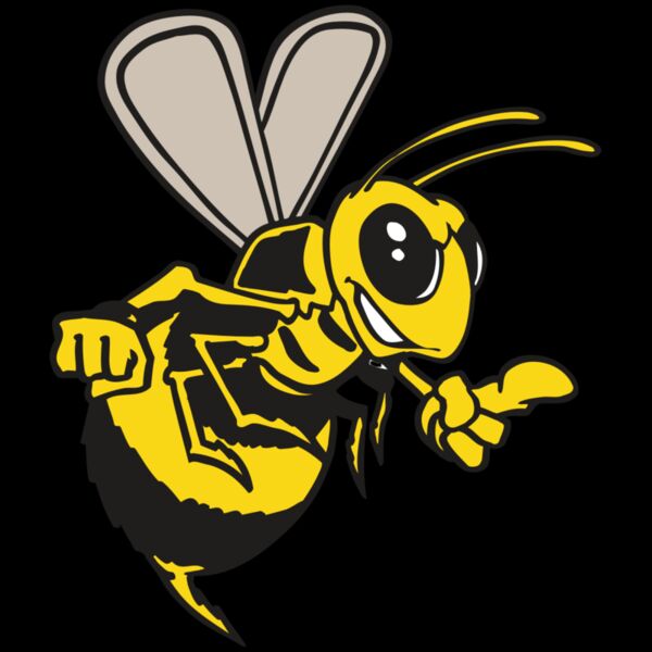 AR BEE 20 RC Thumbnail