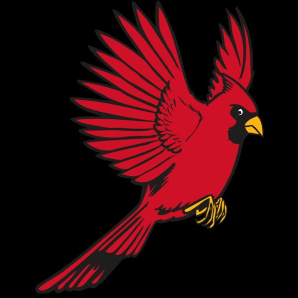 BAW CARDINAL 19 RC Thumbnail