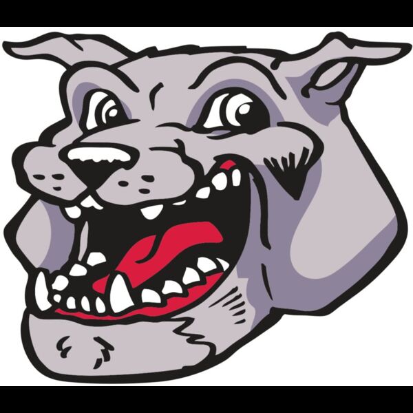 AR BDOG 24 RC Thumbnail