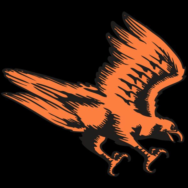 BAW HWK FLCN 04 RC Thumbnail