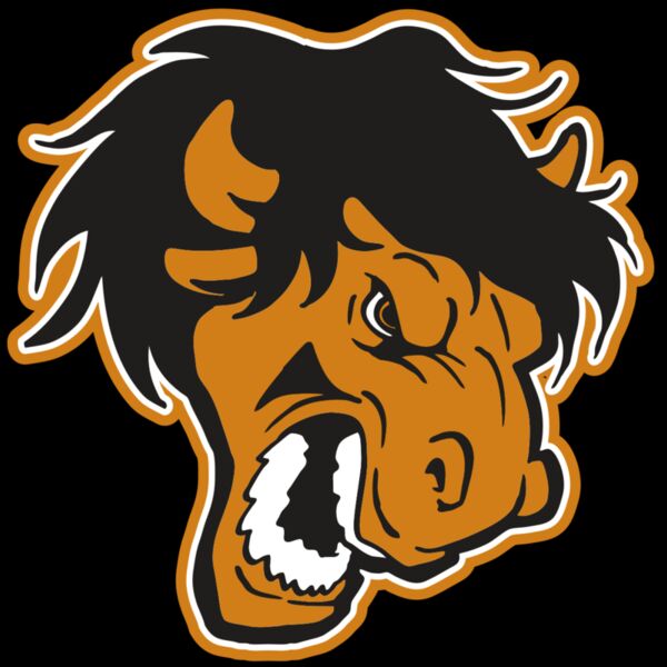 AR BUFF 25 RC Thumbnail