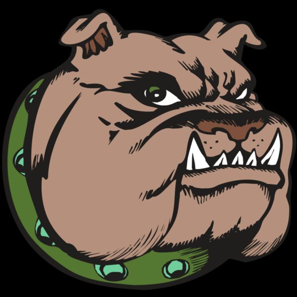 BAW BULLDOG 14 RC Thumbnail