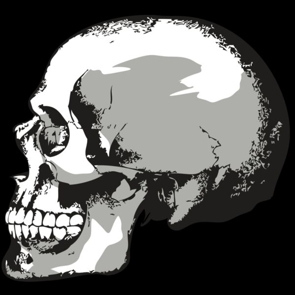 AR24 SKULL 02 RQC Thumbnail