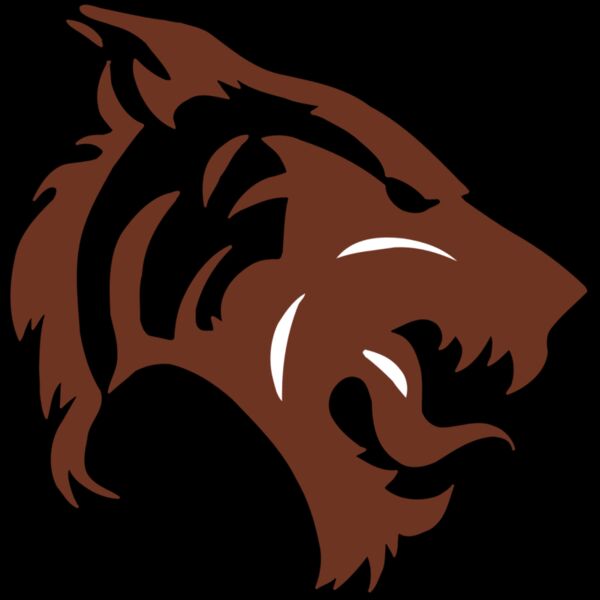 AR5 TIGER 06 RQC Thumbnail