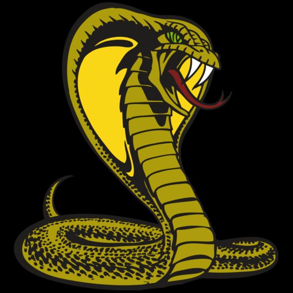 BAW SNAKE 02 RC Thumbnail